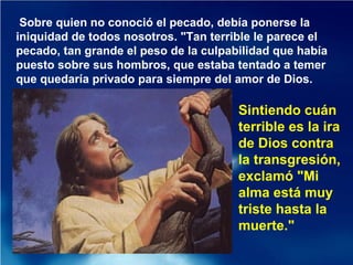 Sobre quien no conoció el pecado, debía ponerse la
iniquidad de todos nosotros. "Tan terrible le parece el
pecado, tan grande el peso de la culpabilidad que había
puesto sobre sus hombros, que estaba tentado a temer
que quedaría privado para siempre del amor de Dios.
Sintiendo cuán
terrible es la ira
de Dios contra
la transgresión,
exclamó "Mi
alma está muy
triste hasta la
muerte."
 