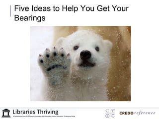 Five Ideas to Help You Get Your
Bearings
 