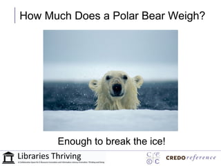 How Much Does a Polar Bear Weigh?




      Enough to break the ice!
 