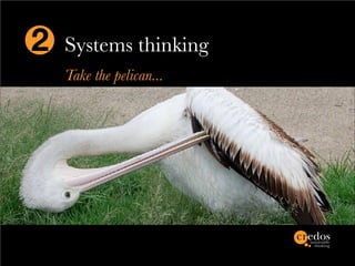 2   Systems thinking
    Take the pelican...
 