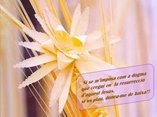 CREC que entre tots podem fer un món millor,
 que serà el «regne», el «projecte», la «voluntat»
de Déu, on tothom pot viure amb dignitat i felicitat.
 