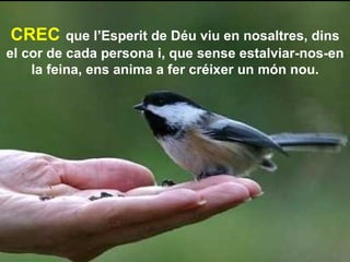 CREC   que l’Esperit de Déu viu en nosaltres, dins el cor de cada persona i, que sense estalviar-nos-en la feina, ens anima a fer créixer un món nou. 
