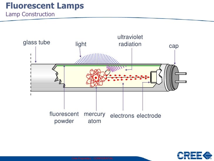 cree gen ltg training