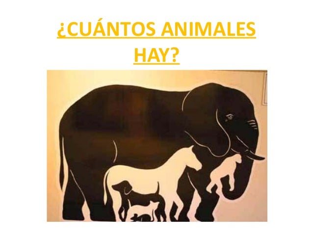 Imagenes Visuales Engañosas | creemos lo que vemos o nos enga 241 a la vista Imagenes Visuales Engañosas | creemos lo que vemos o nos enga 241 a la vista