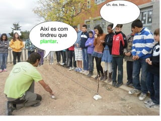 Un, dos, tres...




Així es com
tindreu que
plantar.
 