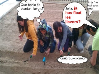Si, ja l'he
Què bonic és                              ficat sota
plantar llavors!       Júlia, ja          terra!
                       has ficat
                       les
                       llavors?




                   CLINC! CLINC! CLINC!
 