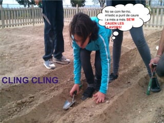 No se com fer-ho,
              m'estic a punt de caure
              i a més a més SE'M
              CAUEN LES
              LLAVORS!




CLING CLING
 