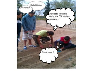 Calla Cristian!
Que mires?


                                    Aquesta terra no
                                    és bona. Té moltes
                                    pedres....




                           Si que costa !!!
 