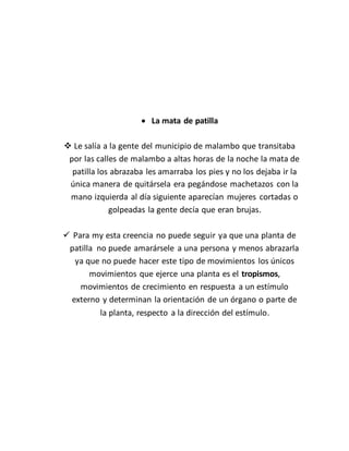  La mata de patilla
 Le salía a la gente del municipio de malambo que transitaba
por las calles de malambo a altas horas de la noche la mata de
patilla los abrazaba les amarraba los pies y no los dejaba ir la
única manera de quitársela era pegándose machetazos con la
mano izquierda al día siguiente aparecían mujeres cortadas o
golpeadas la gente decía que eran brujas.
 Para my esta creencia no puede seguir ya que una planta de
patilla no puede amarársele a una persona y menos abrazarla
ya que no puede hacer este tipo de movimientos los únicos
movimientos que ejerce una planta es el tropismos,
movimientos de crecimiento en respuesta a un estímulo
externo y determinan la orientación de un órgano o parte de
la planta, respecto a la dirección del estímulo.
 
