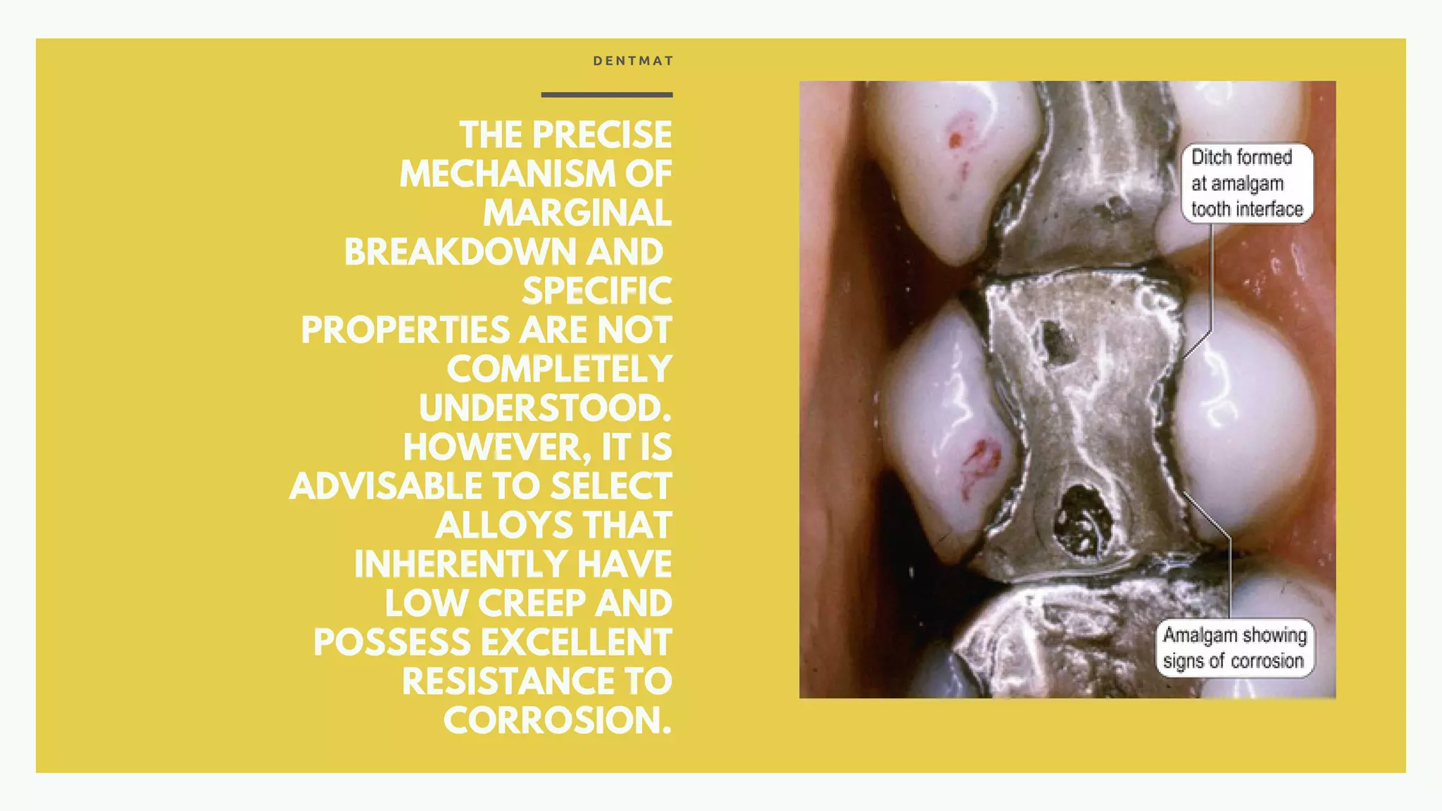 Amalgam Creeps and Marginal Breakdown | PDF
