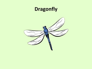 Dragonfly