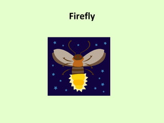 Firefly