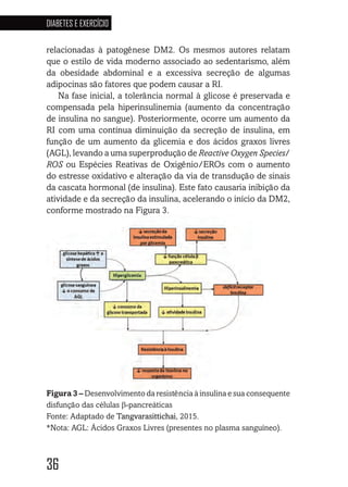 36
DIABETES E EXERCÍCIO
36363636
relacionadas à patogênese DM2. Os mesmos autores relatam
que o estilo de vida moderno associado ao sedentarismo, além
da obesidade abdominal e a excessiva secreção de algumas
adipocinas são fatores que podem causar a RI.
Na fase inicial, a tolerância normal à glicose é preservada e
compensada pela hiperinsulinemia (aumento da concentração
de insulina no sangue). Posteriormente, ocorre um aumento da
RI com uma contínua diminuição da secreção de insulina, em
função de um aumento da glicemia e dos ácidos graxos livres
(AGL), levando a uma superprodução de Reactive Oxygen Species/
ROS ou Espécies Reativas de Oxigênio/EROs com o aumento
do estresse oxidativo e alteração da via de transdução de sinais
da cascata hormonal (de insulina). Este fato causaria inibição da
atividade e da secreção da insulina, acelerando o início da DM2,
conforme mostrado na Figura 3.
Figura 3 – Desenvolvimento da resistência à insulina e sua consequente
disfunção das células β-pancreáticas
Fonte: Adaptado de Tangvarasittichai, 2015.
*Nota: AGL: Ácidos Graxos Livres (presentes no plasma sanguíneo).
 