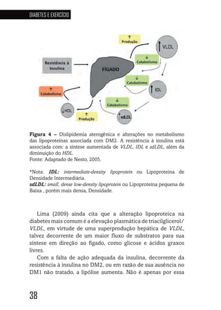 38
DIABETES E EXERCÍCIO
38383838
Figura 4 – Dislipidemia aterogênica e alterações no metabolismo
das lipoproteínas associada com DM2. A resistência à insulina está
associada com: a síntese aumentada de VLDL, IDL e sdLDL, além da
diminuição do HDL.
Fonte: Adaptado de Nesto, 2005.
*Nota: IDL: intermediate-density lipoprotein ou Lipoproteína de
Densidade Intermediária.
sdLDL: small, dense low-density lipoprotein ou Lipoproteína pequena de
Baixa , porém mais densa, Densidade.
Lima (2009) ainda cita que a alteração lipoproteica na
diabetes mais comum é a elevação plasmática de triacilglicerol/
VLDL, em virtude de uma superprodução hepática de VLDL,
talvez decorrente de um maior fluxo de substratos para sua
síntese em direção ao fígado, como glicose e ácidos graxos
livres.
Com a falta de ação adequada da insulina, decorrente da
resistência à insulina no DM2, ou em razão de sua ausência no
DM1 não tratado, a lipólise aumenta. Não é apenas por essa
 