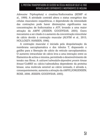 51
5. PROTEÍNA TRANSPORTADORA DE GLICOSE NA CÉLULA MUSCULAR (GLUT-4): VIAS
INTRACELULARES DEPENDENTES E INDEPENDENTES DE INSULINA
Adenosine Triphosphate) e creatina/fosfocreatina (KEMP et
al., 1999). A atividade contrátil altera o status energético das
células musculares esqueléticas, e dependendo da intensidade
das contrações pode haver diminuições significantes nas
concentrações de fosfocreatina e ATP, levando a uma maior
ativação da AMPK (JESSEN; GOODYEAR, 2005). Outro
mecanismo a ser citado é o aumento da concentração miocelular
de cálcio devido à contração muscular (ALVIM et al., 2015;
HOLLOSZY; HANSEN, 1996).
A contração muscular é iniciada pela despolarização da
membrana sarcoplasmática e dos túbulos T, disparando o
gatilho para a liberação de cálcio do retículo sarcoplasmático.
O aumento intracelular de cálcio leva a uma interação entre os
filamentos de actina e miosina, permitindo o desenvolvimento de
tensão nas fibras. A calcium/calmodulin-dependent protein kinase
kinase/CaMKK ou cálcio/calmodulina dependente da proteína
kinase, uma molécula sensível ao cálcio ionizado, é ativada e,
consequentemente, aumenta a ativação da AMPK (JORGENSEN;
ROSE, 2008; JESSEN; GOODYEAR, 2005).
 