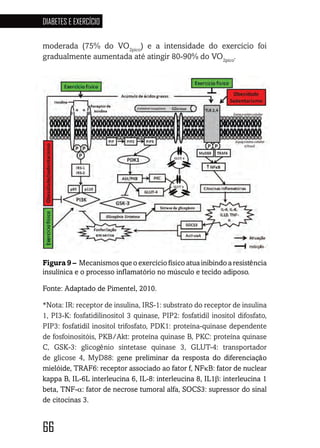 66
DIABETES E EXERCÍCIO
666666666666
moderada (75% do VO2pico
) e a intensidade do exercício foi
gradualmente aumentada até atingir 80-90% do VO2pico
.
Figura 9 – Mecanismos que o exercício físico atua inibindo a resistência
insulínica e o processo inflamatório no músculo e tecido adiposo.
Fonte: Adaptado de Pimentel, 2010.
*Nota: IR: receptor de insulina, IRS-1: substrato do receptor de insulina
1, PI3-K: fosfatidilinositol 3 quinase, PIP2: fosfatidil inositol difosfato,
PIP3: fosfatidil inositol trifosfato, PDK1: proteína-quinase dependente
de fosfoinositóis, PKB/Akt: proteína quinase B, PKC: proteína quinase
C, GSK-3: glicogênio sintetase quinase 3, GLUT-4: transportador
de glicose 4, MyD88: gene preliminar da resposta do diferenciação
mielóide, TRAF6: receptor associado ao fator f, NFκB: fator de nuclear
kappa B, IL-6L interleucina 6, IL-8: interleucina 8, IL1β: interleucina 1
beta, TNF-α: fator de necrose tumoral alfa, SOCS3: supressor do sinal
de citocinas 3.
 