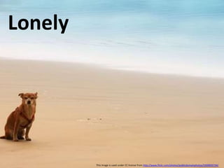 Lonely This image is used under CC license from http://www.flickr.com/photos/publicdomainphotos/3309693734/