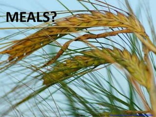 MEALS? This image is used under CC license from http://www.flickr.com/photos/sarniebill/3975002000/