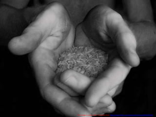  This image is used under CC license from http://www.flickr.com/photos/krislitman/493626935/