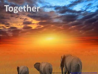 TogetherThis image is used under CC license from http://www.flickr.com/photos/benheine/3794765860/