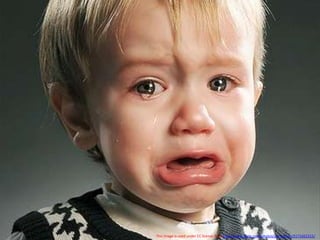  This image is used under CC license from http://www.flickr.com/photos/joe-nathan/3171662315/