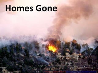 Homes Gone This image is used under CC  license from http://www.flickr.com/photos/7202153@N03/1867823694/