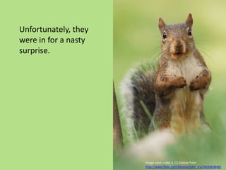 Unfortunately, they were in for a nasty surprise.Image used under a  CC license from http://www.flickr.com/photos/toby_d1/2902863846/