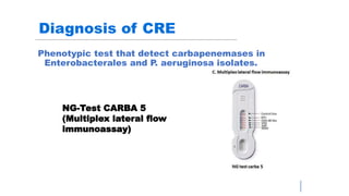 Carbapenem resistance entrobacteriaceae - ISCCM | PPTX