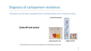 Carbapenem resistance entrobacteriaceae - ISCCM | PPTX