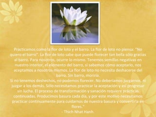 Practicamos como la flor de loto y el barro. La flor de loto no piensa: "No
quiero el barro". La flor de loto sabe que puede florecer tan bella sólo gracias
al barro. Para nosotros, ocurre lo mismo. Tenemos semillas negativas en
nuestro interior, el elemento del barro, si sabemos cómo aceptarlo, nos
aceptamos a nosotros mismos. La flor de loto no necesita deshacerse del
barro. Sin barro, moriría.
Si no tenemos deshechos, no podemos florecer. No deberíamos juzgarnos, ni
juzgar a los demás. Sólo necesitamos practicar la aceptación y así progresar
sin lucha. El proceso de transformación y sanación requiere prácticas
continuadas. Producimos basura cada día, y por este motivo necesitamos
practicar continuamente para cuidarnos de nuestra basura y convertirla en
flores."
- Thich Nhat Hanh.
 