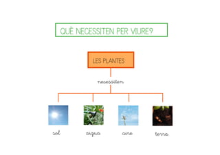 LES PLANTES
necessiten
sol aigua aire terra
QUÈ NECESSITEN PER VIURE?
 
