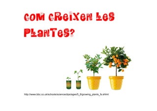 COM CREIXEN LES
PLANTES?
http://www.bbc.co.uk/schools/scienceclips/ages/5_6/growing_plants_fs.shtml
 