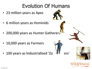 23 million years as Apes 6 million years as Hominids 200,000 years as Hunter Gatherers 10,000 years as Farmers 100 years as Industrialised ‘Zoo Humans’ Evolution Of Humans 