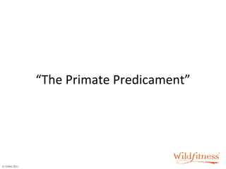 “ The Primate Predicament” 