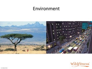 Environment 