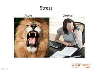 Stress Acute Chronic 