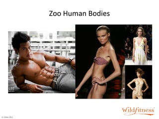 Zoo Human Bodies 