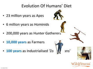 23 million years as Apes 6 million years as Hominids 200,000 years as Hunter Gatherers 10,000   years   as Farmers 100   years   as Industrialised ‘Zoo Humans’ Evolution Of Humans’ Diet 