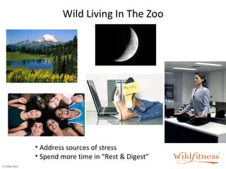Wild Living In The Zoo Address sources of stress Spend more time in “Rest & Digest” 