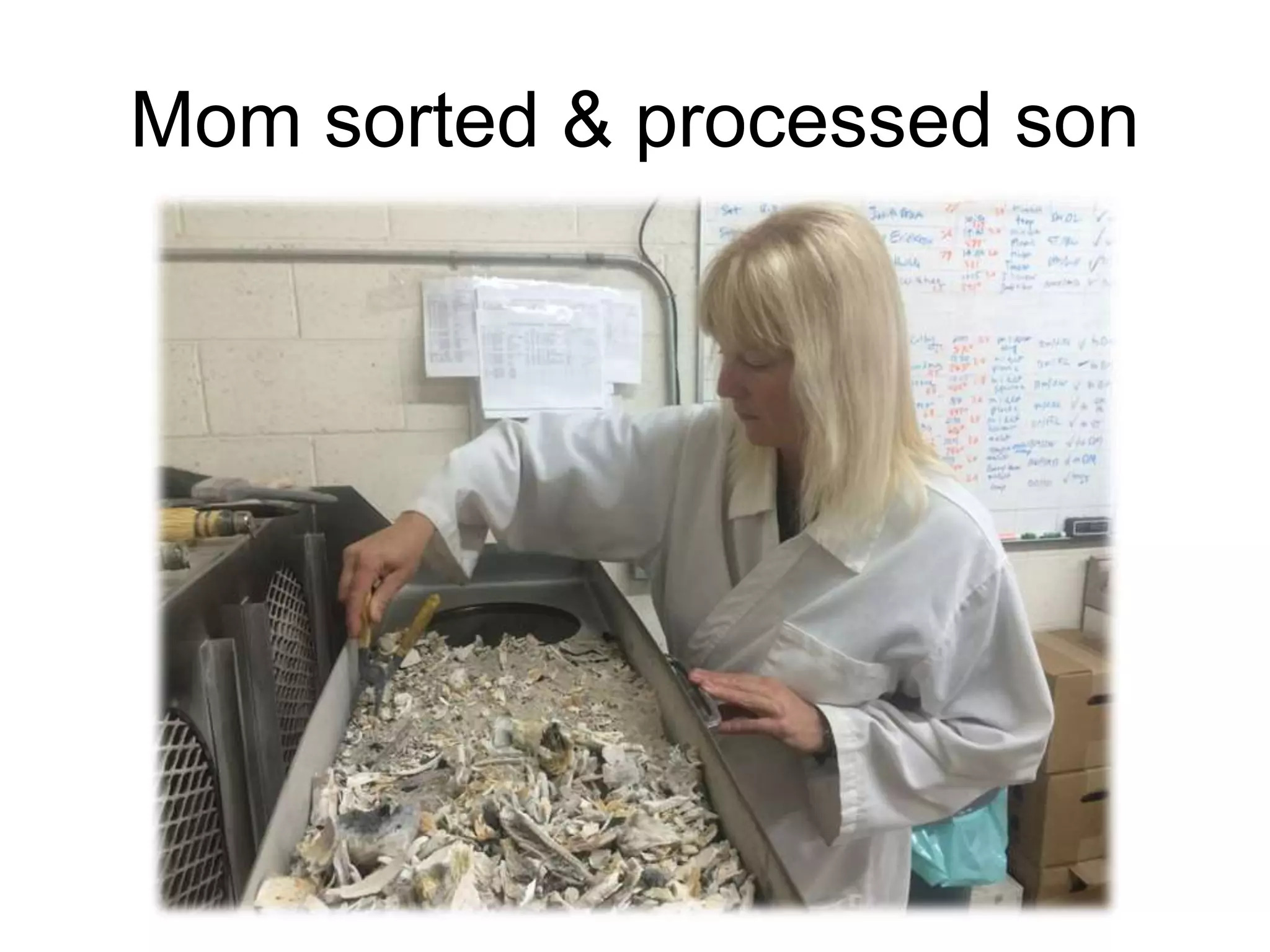 Mom sorted & processed son
 
