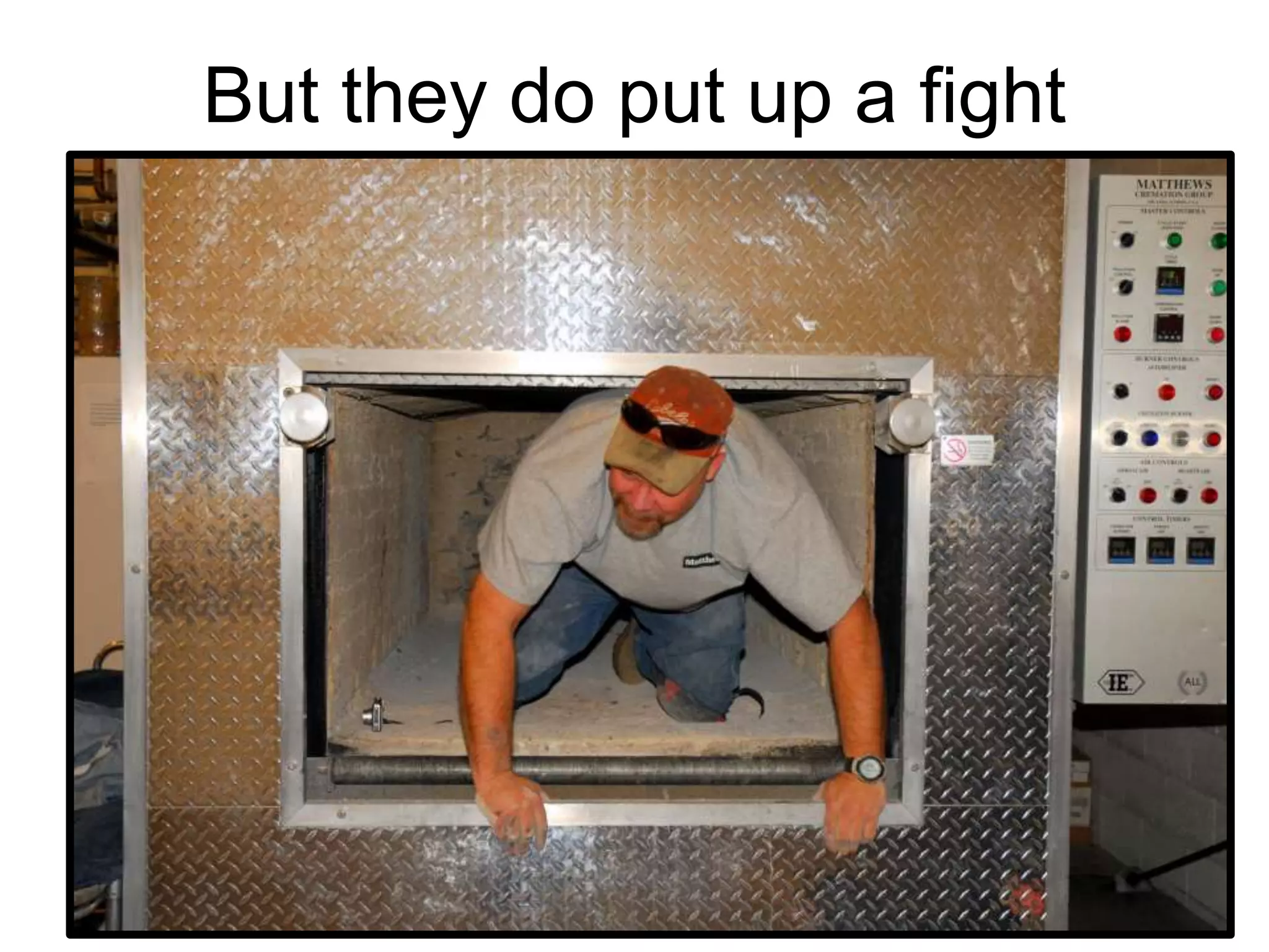 But they do put up a fight
 