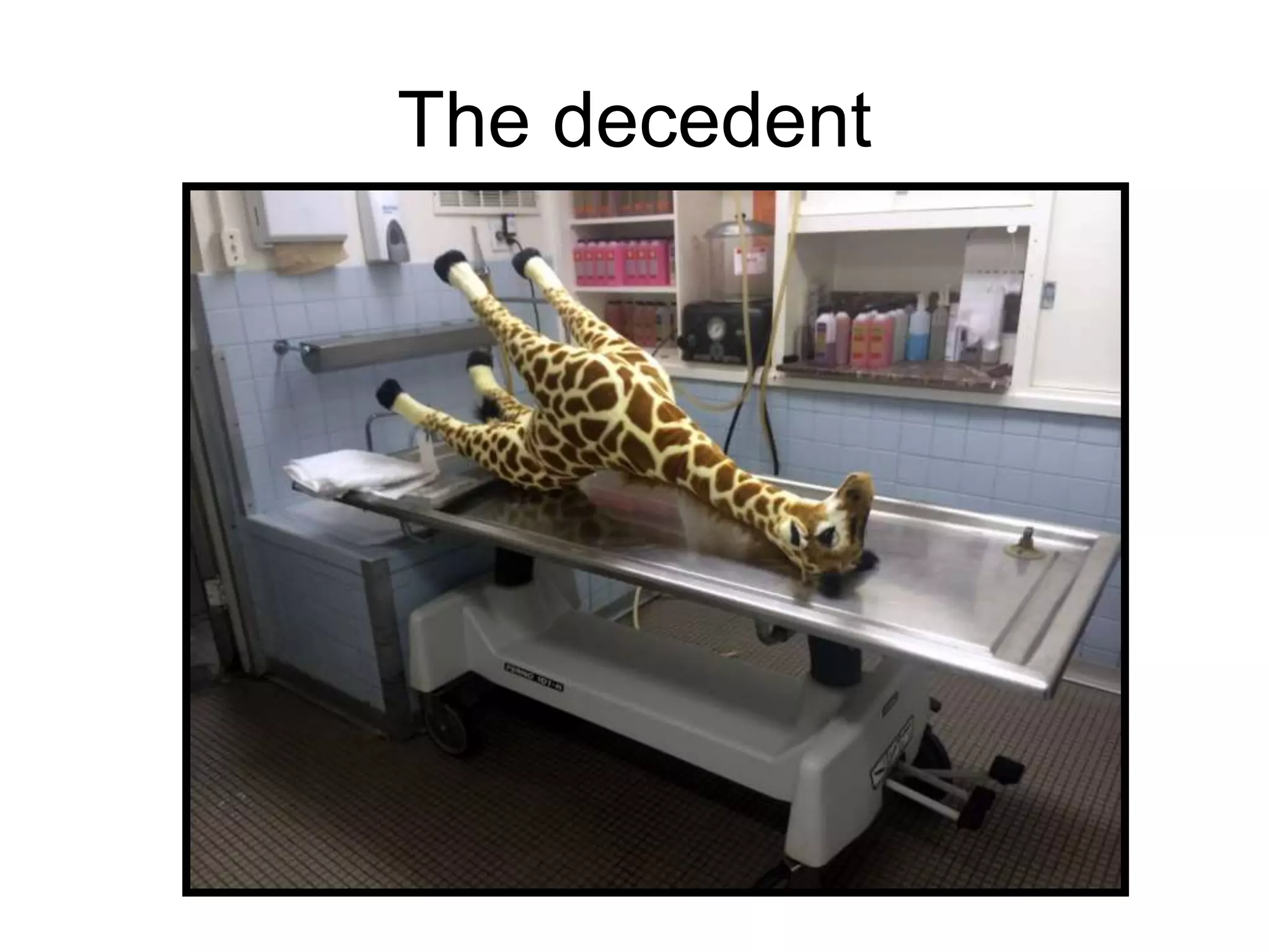 The decedent
 