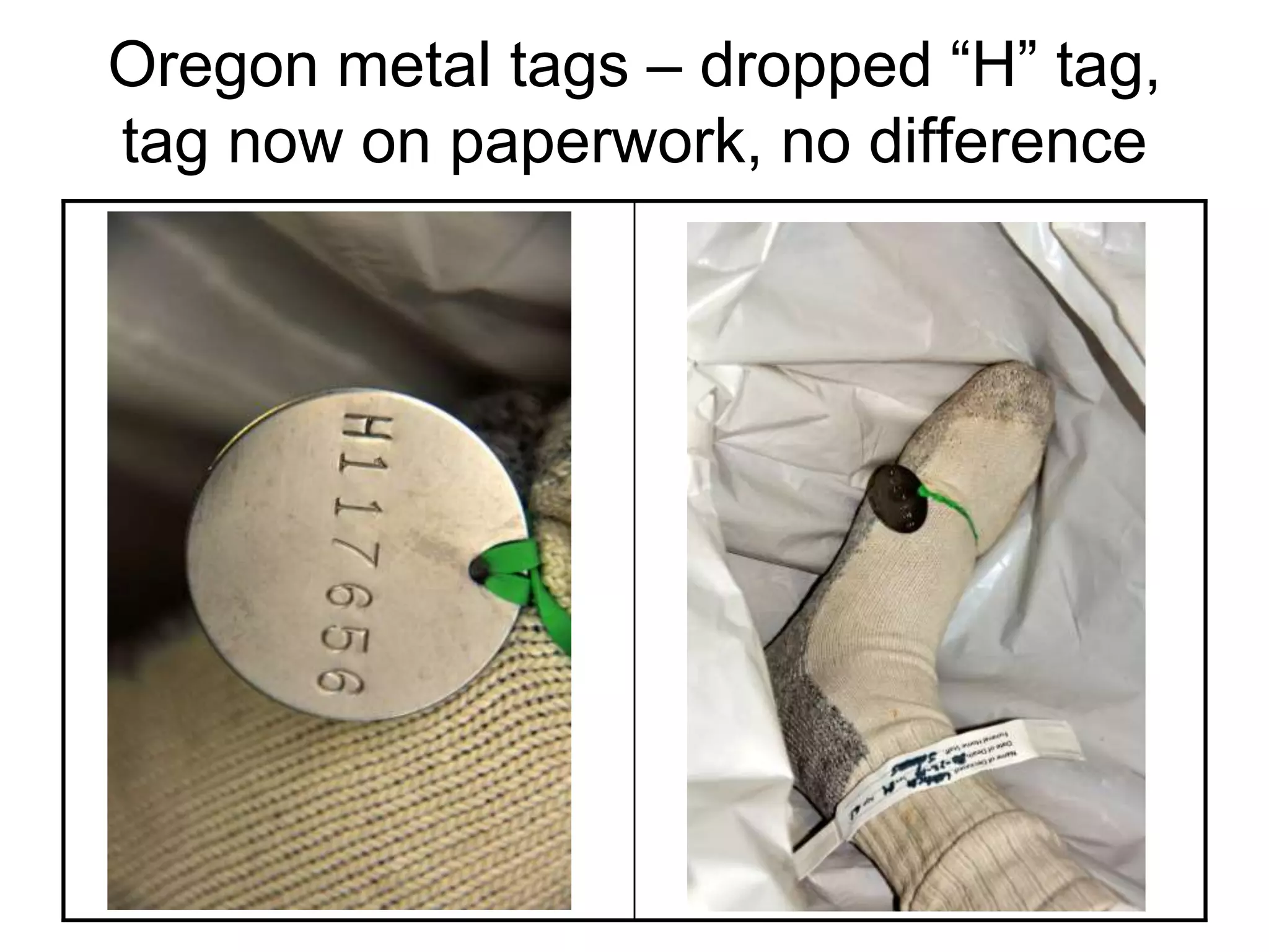Oregon metal tags – dropped “H” tag,
tag now on paperwork, no difference
 