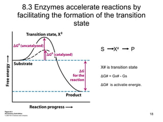 8.3 Enzymes accelerate reactions by facilitating the formation of the transition state S  X #   P X# is transition state Δ G# = Gx# - Gs Δ G#  is activatie energie. 