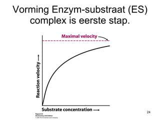 Vorming Enzym-substraat (ES) complex is eerste stap. 