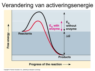 Verandering van activeringsenergie 