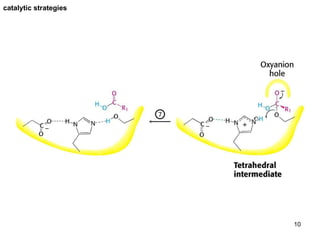 catalytic strategies 