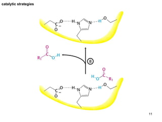catalytic strategies 