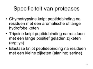 Specificiteit van proteases Chymotrypsine knipt peptidebinding na residuen met een aromatische of lange hydrofobe keten Tripsine knipt peptidebinding na residuen met een lange positief geladen zijketen (arg;lys) Elastase knipt peptidebinding na residuen met een kleine zijketen (alanine; serine) 