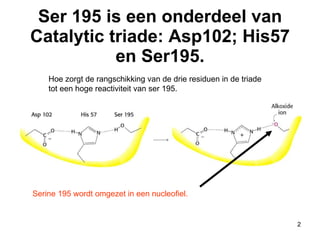 Ser 195 is een onderdeel van Catalytic triade: Asp102; His57 en Ser195. Serine 195 wordt omgezet in een nucleofiel.  Hoe zorgt de rangschikking van de drie residuen in de triade tot een hoge reactiviteit van ser 195. 